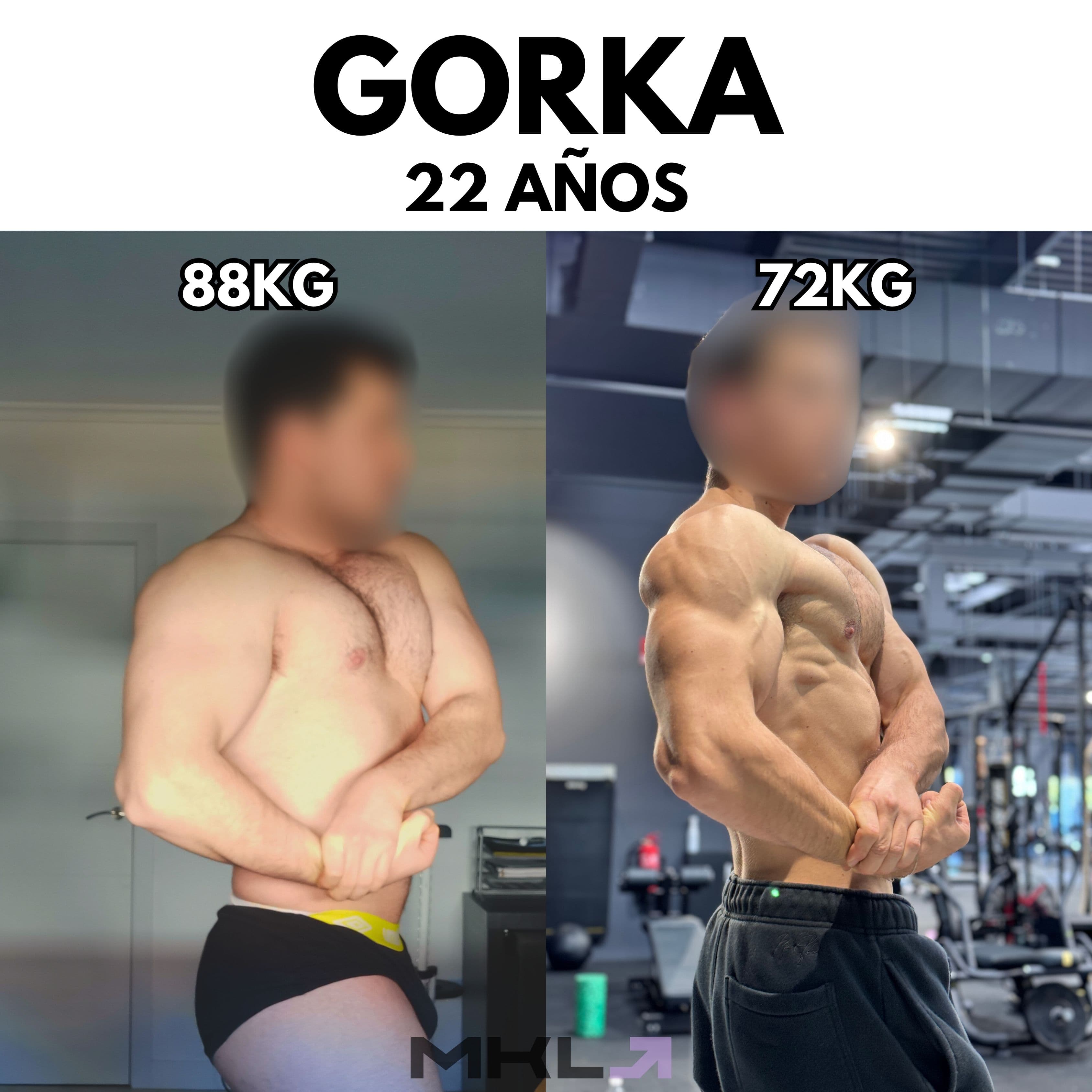 Resultado de Gorka